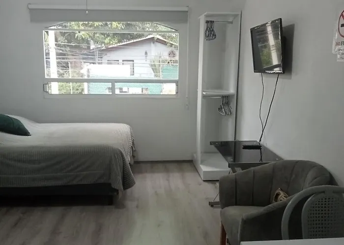 El Loft De Coyoacan